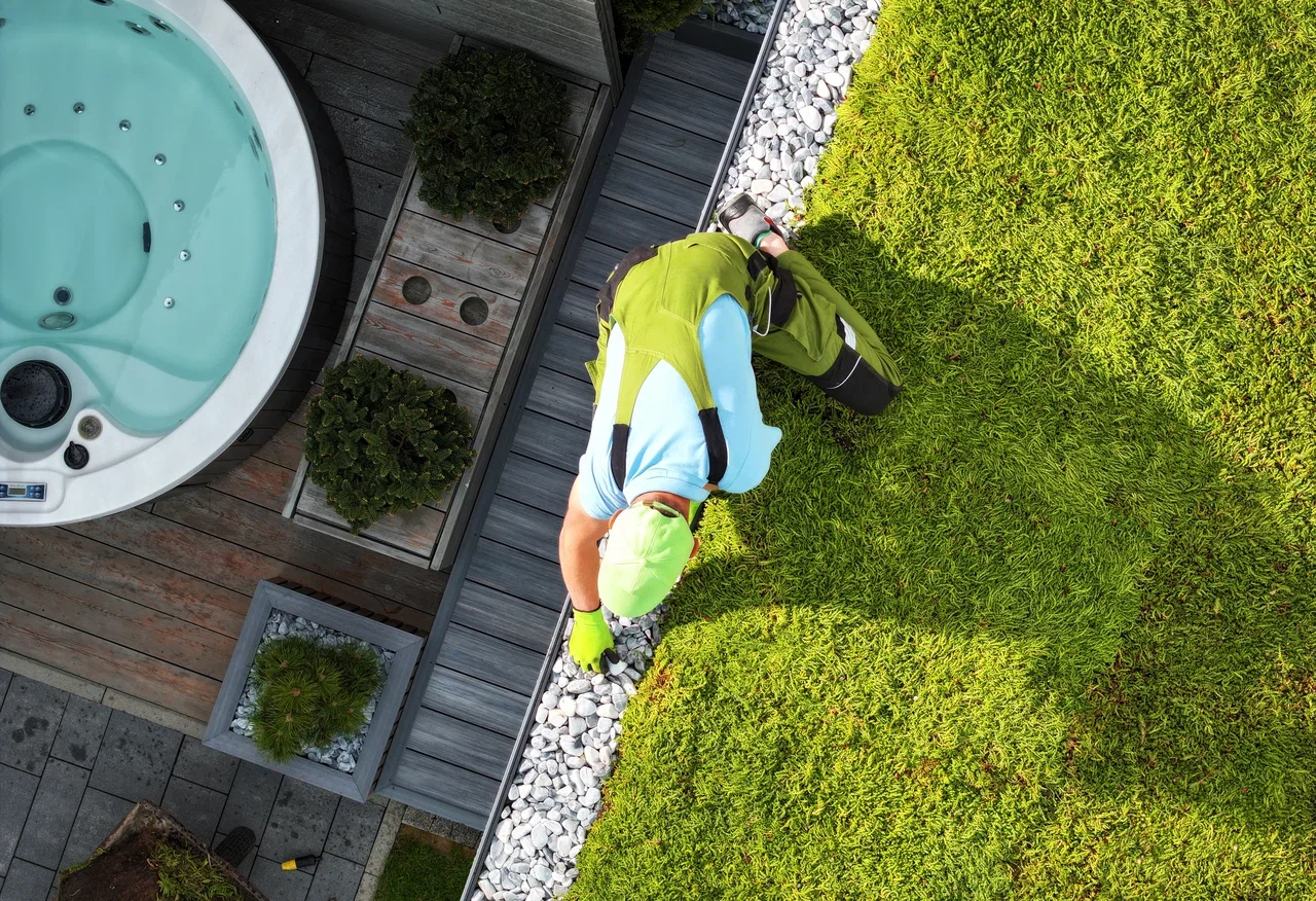 living roofs